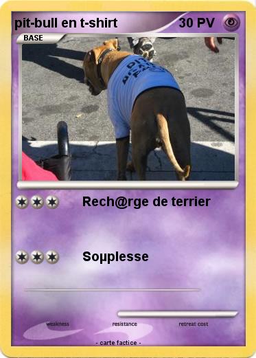 Pokemon pit-bull en t-shirt