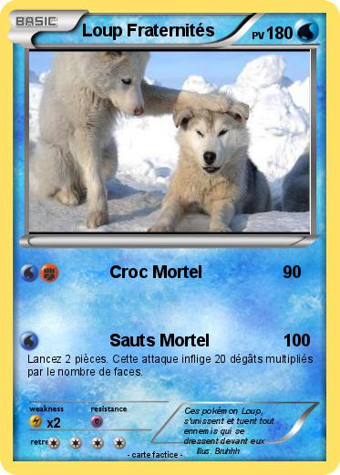 Pokemon Loup Fraternités
