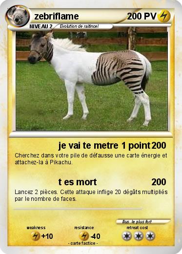 Pokemon zebriflame