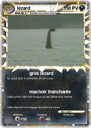 Pokemon lézard
