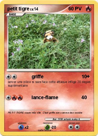 Pokemon petit tigre