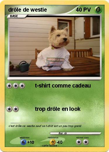 Pokemon drôle de westie