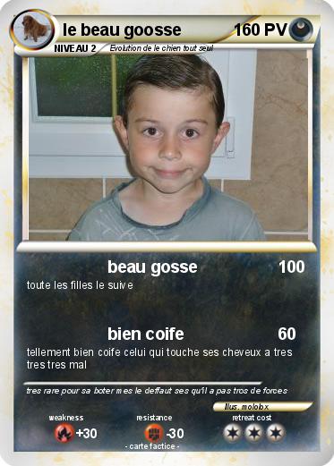 Pokemon le beau goosse