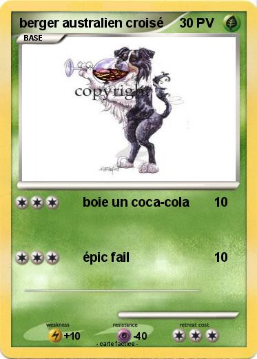 Pokemon berger australien croisé