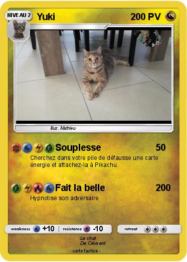 Pokemon Yuki