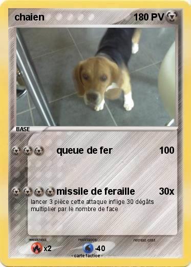 Pokemon chaien