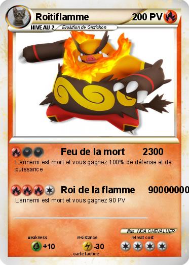 Pokemon Roitiflamme