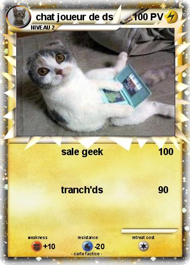 Pokemon chat joueur de ds