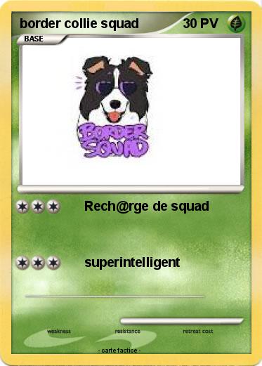 Pokemon border collie squad