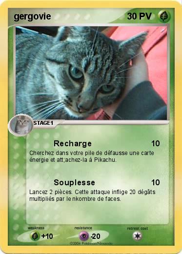 Pokemon gergovie