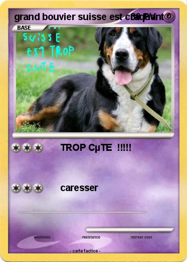 Pokemon grand bouvier suisse est craquant