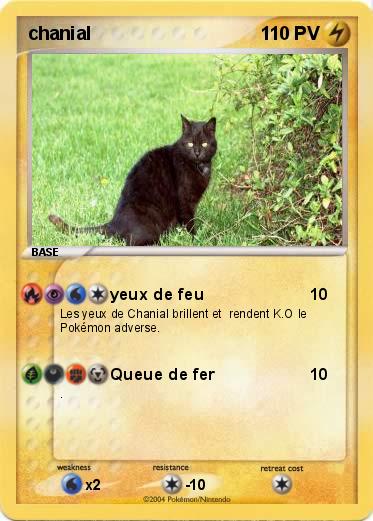 Pokemon chanial
