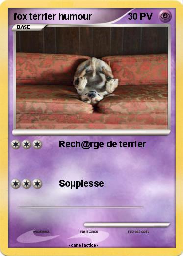 Pokemon fox terrier humour