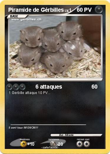 Pokemon Piramide de Gérbilles