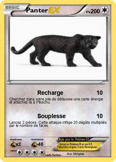 Pokemon Panter