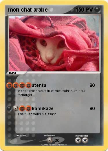 Pokemon mon chat arabe