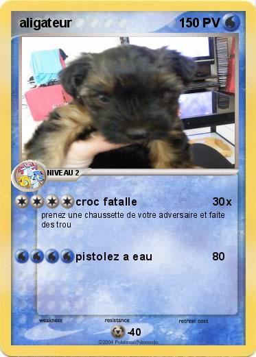 Pokemon aligateur