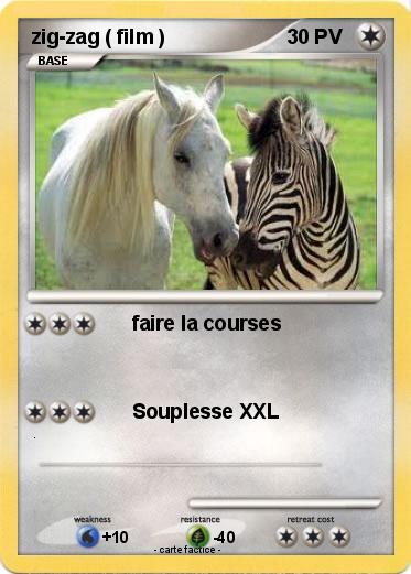 Pokemon zig-zag ( film )