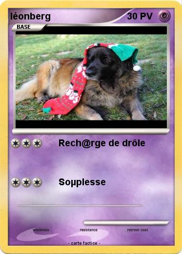 Pokemon léonberg