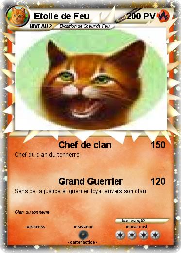 Pokemon Etoile de Feu