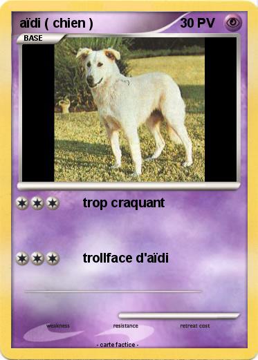 Pokemon aïdi ( chien )