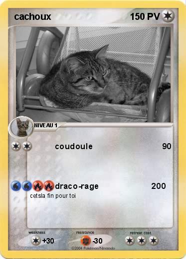 Pokemon cachoux
