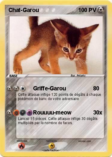 Pokemon Chat-Garou