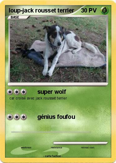 Pokemon loup-jack rousset terrier
