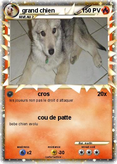 Pokemon grand chien