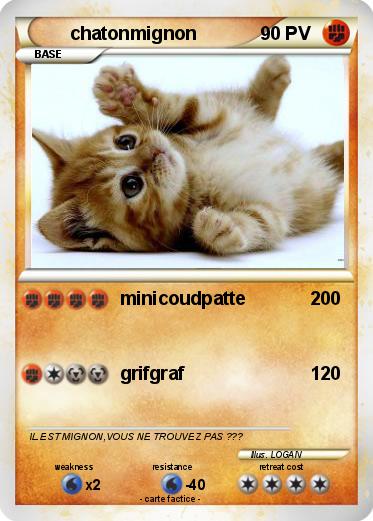 Pokemon chatonmignon