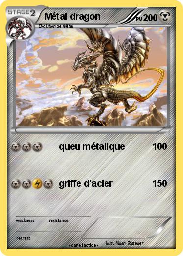 Pokemon Métal dragon