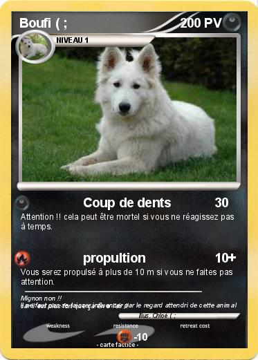 Pokemon Boufi ( ;