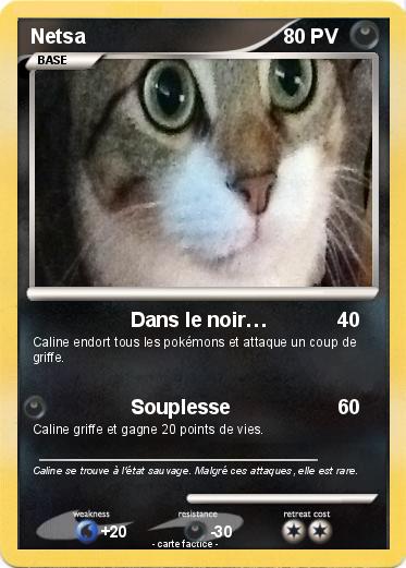 Pokemon Netsa