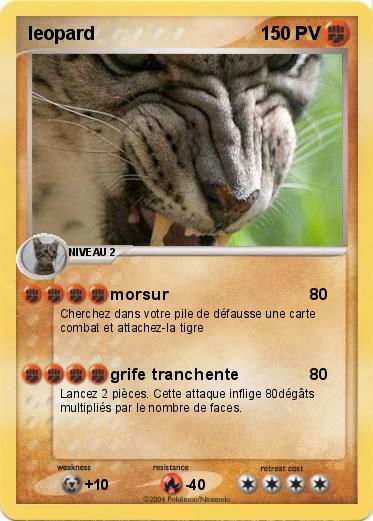 Pokemon leopard