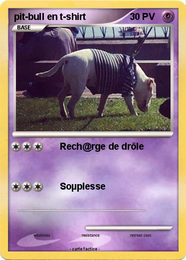 Pokemon pit-bull en t-shirt