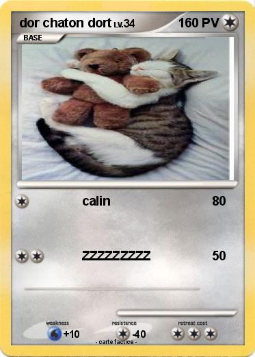 Pokemon dor chaton dort