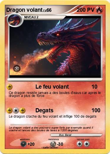 Pokemon Dragon volant