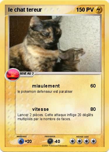Pokemon le chat tereur