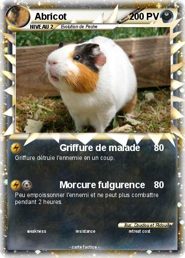 Pokemon Abricot