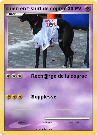 Pokemon chien en t-shirt de coµrse