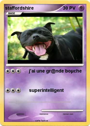 Pokemon staffordshire