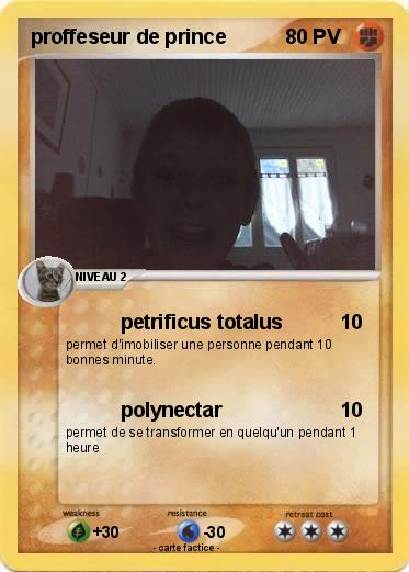 Pokemon proffeseur de prince