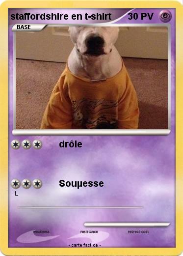 Pokemon staffordshire en t-shirt