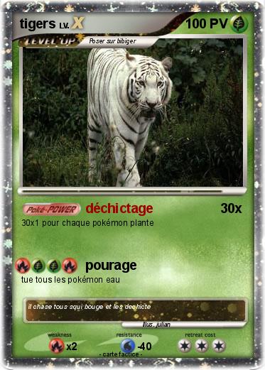 Pokemon tigers