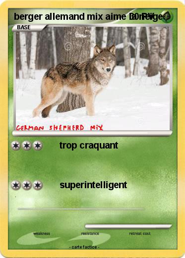 Pokemon berger allemand mix aime la neige