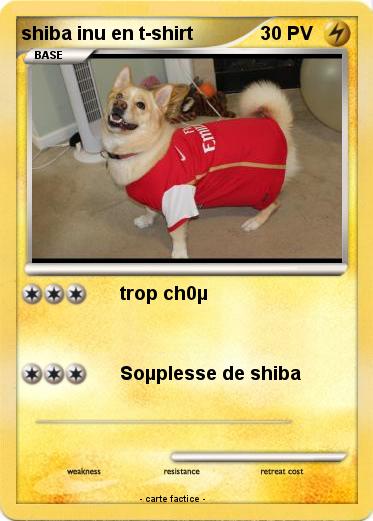 Pokemon shiba inu en t-shirt