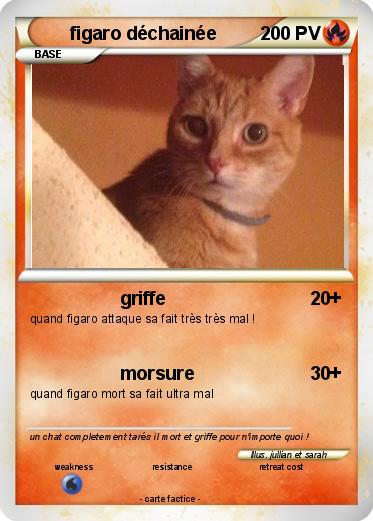 Pokemon figaro déchainée