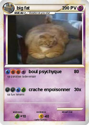 Pokemon big fat