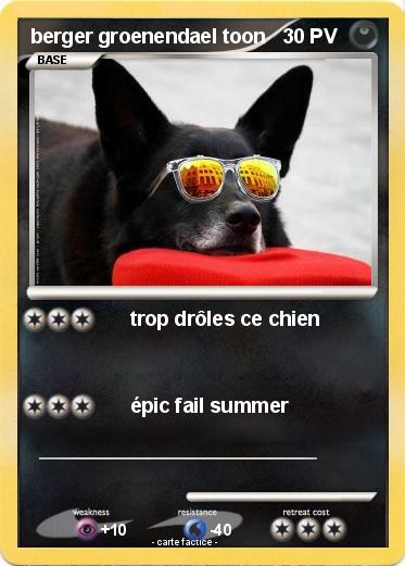 Pokemon berger groenendael toon