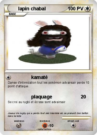 Pokemon lapin chabal